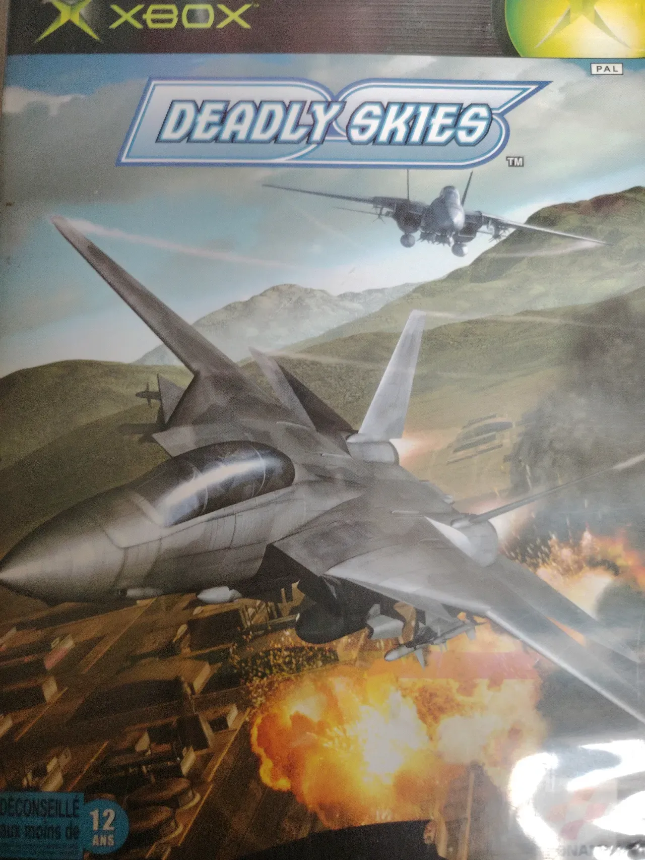Deadly Skies
