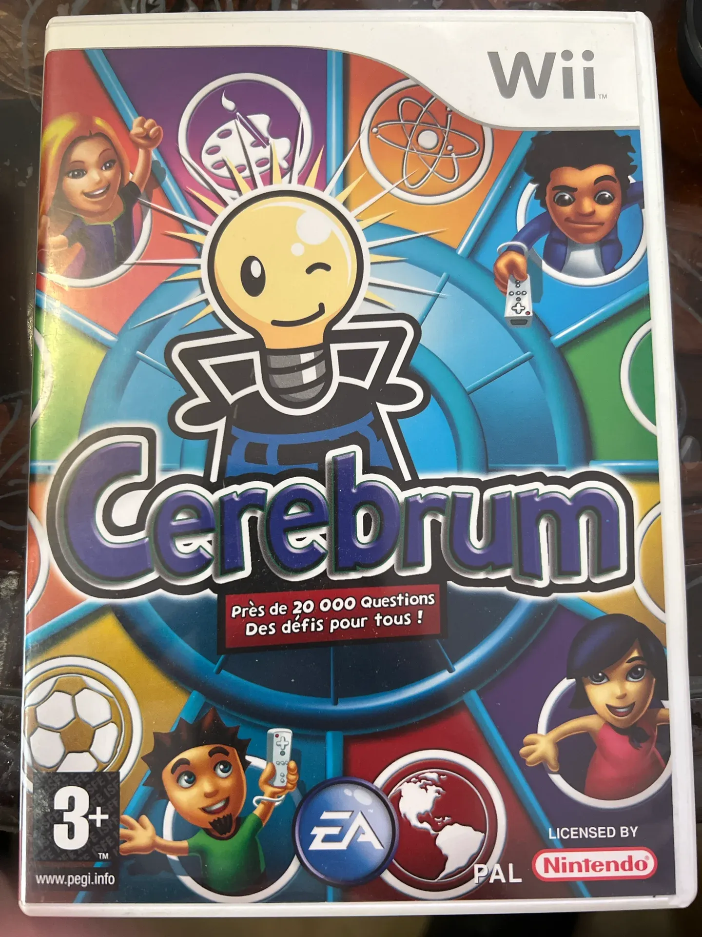 Cerebrum