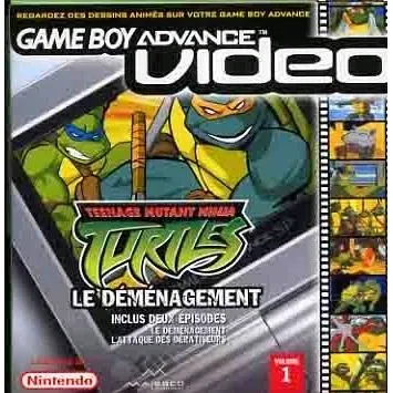 Teenage Mutant Ninja Turtles Video - Le Déménagement
