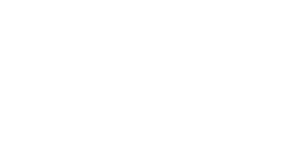 Sharp X1